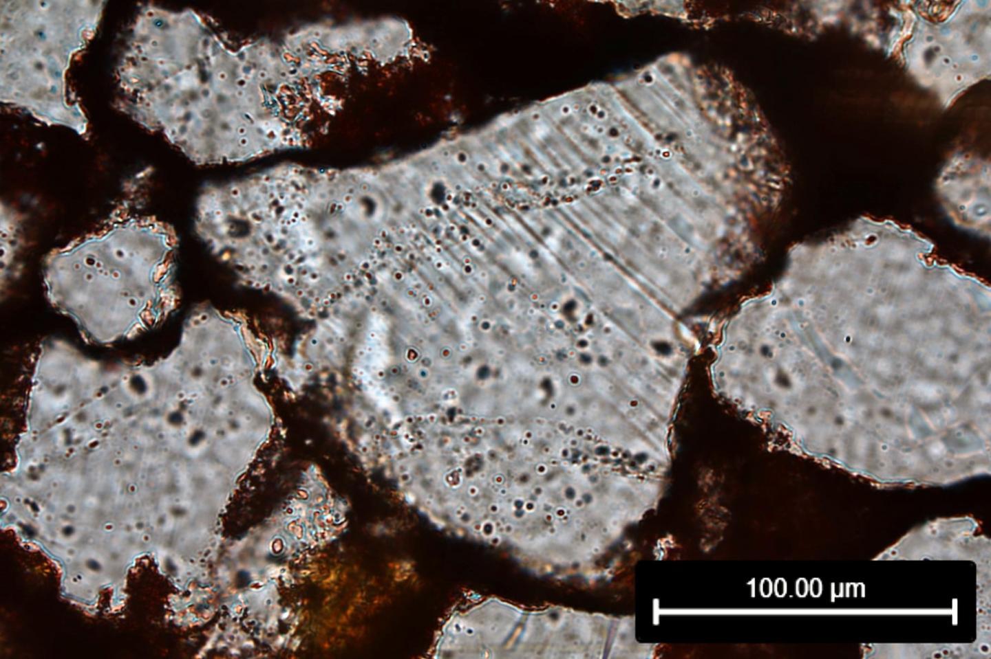 Photomicrograph in Plane-Polarized Light of Parallel Planar Fractures in Quartz Crystal