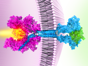 Janus kinase