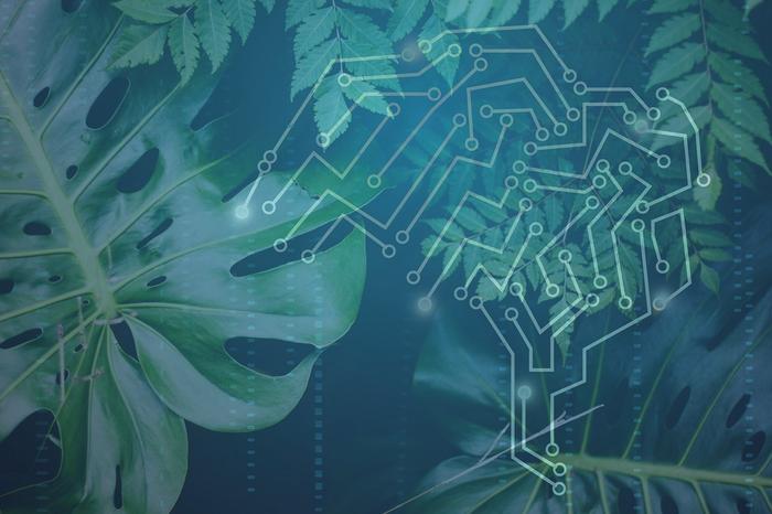 Artificial intelligence approaches demonstrate how plant science has evolved