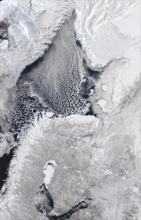 Beast from the East Nasa