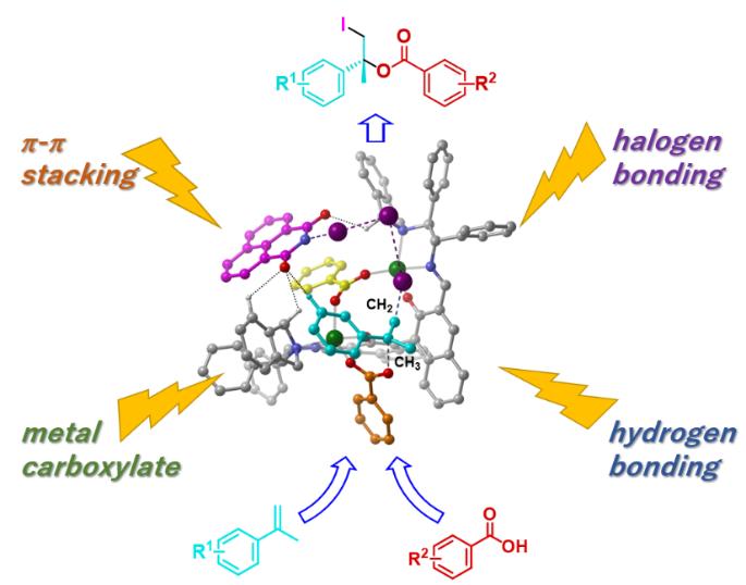 The fundamental forces on the single reaction sphere of di-Zn catalyst.