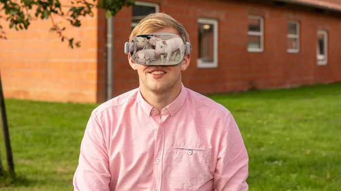 Man wearing virtual reality glasses, pigs reflected in glasses
