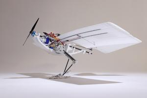 RAVEN (Robotic Avian-inspired Vehicle for multiple ENvironments) © Alain Herzog CC BY SA