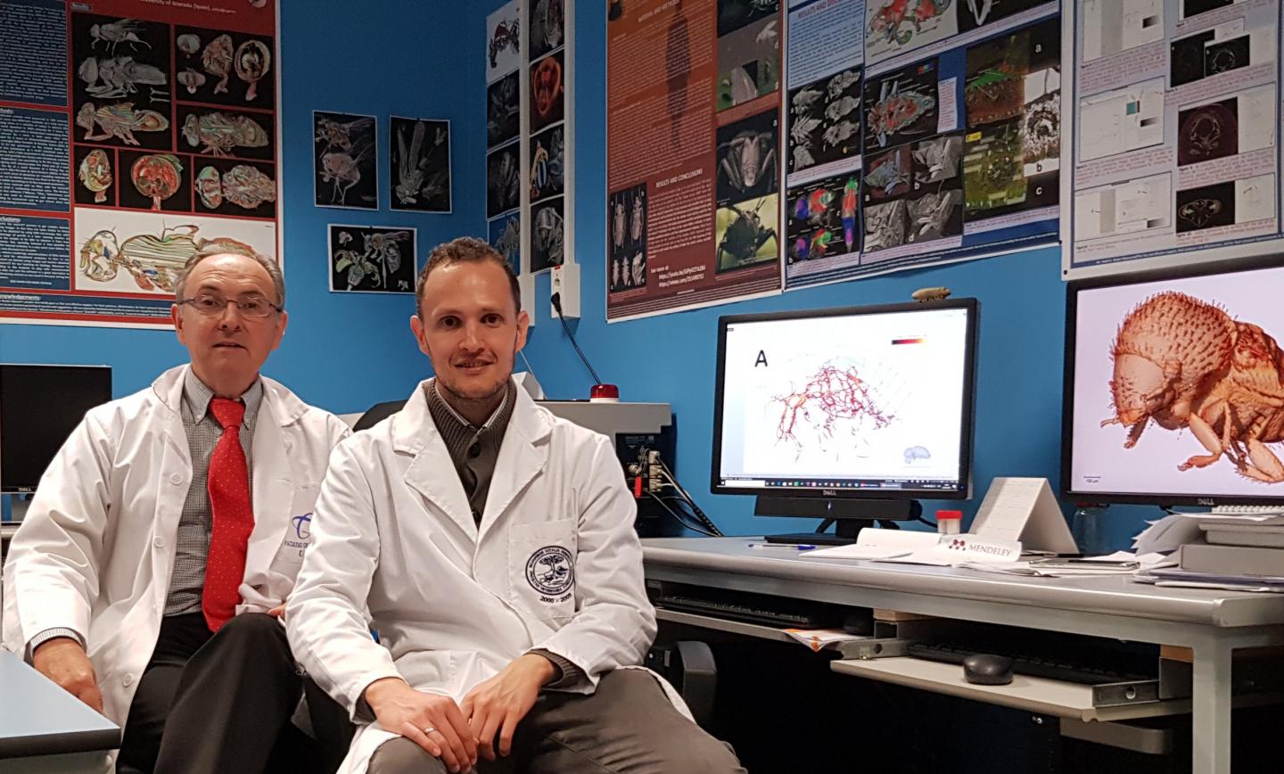 Professor Javier Alba-Tercedor with Ignacio Alba-Alejandre in the Laboratory