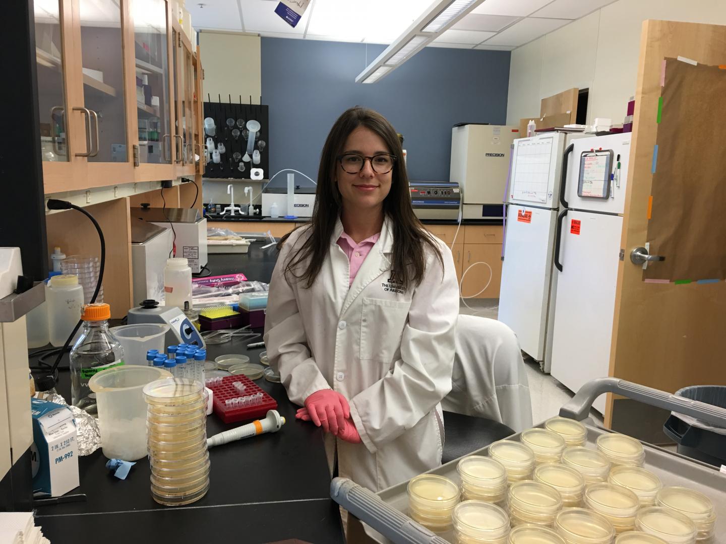 Christina Morrison, 	University of Arizona College of Engineering 