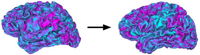 Transforming one person's brain activity into another person's