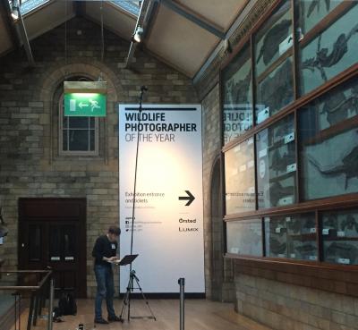 Selfie stick captures sea reptile images