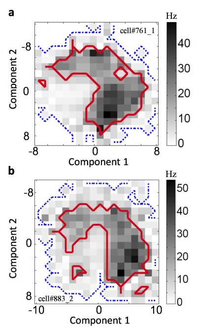 Spike Distributions for Neurons