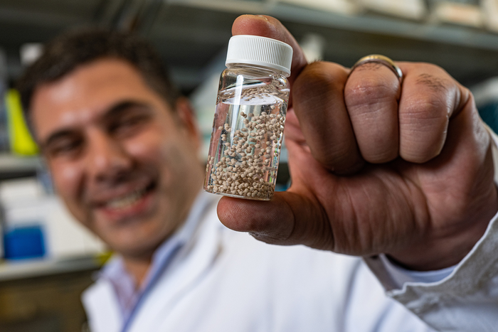 Omid Veiseh with bead-like implants