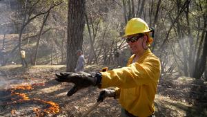 John N. Williams during prescribed burn