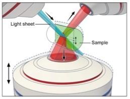 Triple-View Fluorescence Microscopy