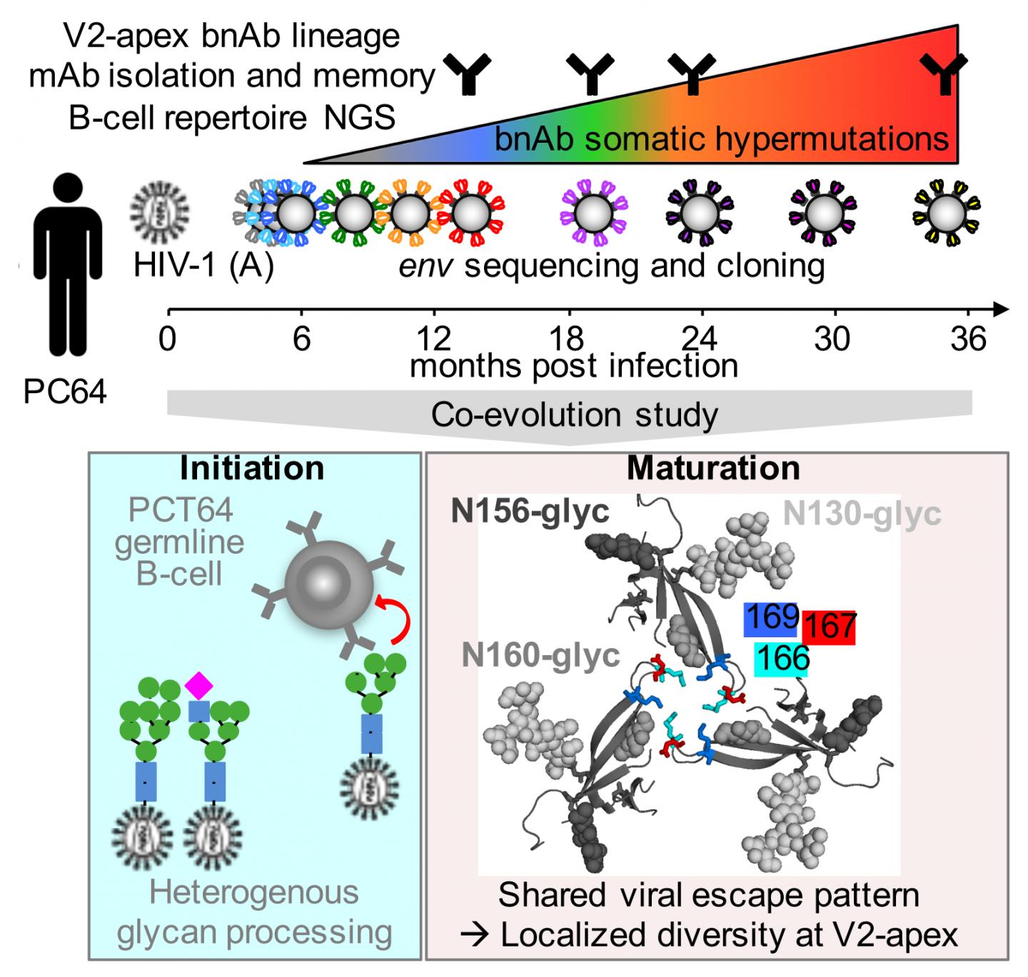 Graphical Abstract [IMAGE] EurekAlert! Science News Releases