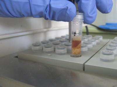 Polio Labs Equipped to Study Rare Tropical Diseases