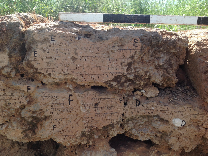 Burnt mud brick wall from Tel Batash (Biblical Timnah) with markings of the field orientation.