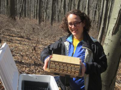 Caroline DeVan, New Jersey Institute of Technology 