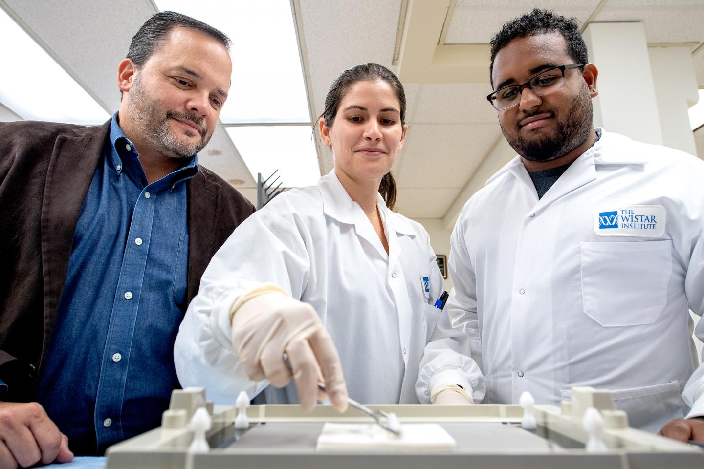 Dr. Luis Montaner with Members of His Lab