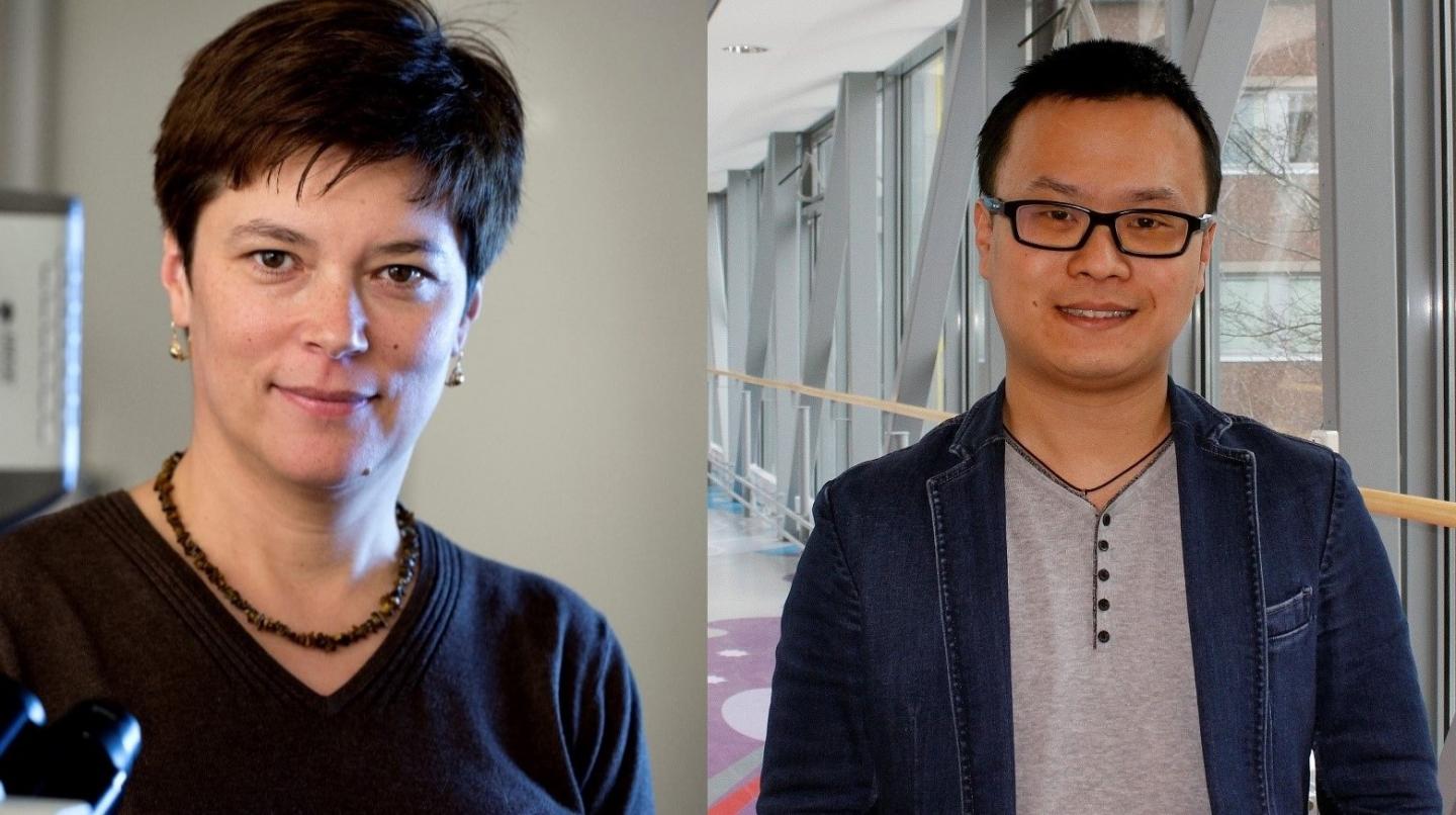 Tünde Fülöp and Longqing Yi, Chalmers University of Technology