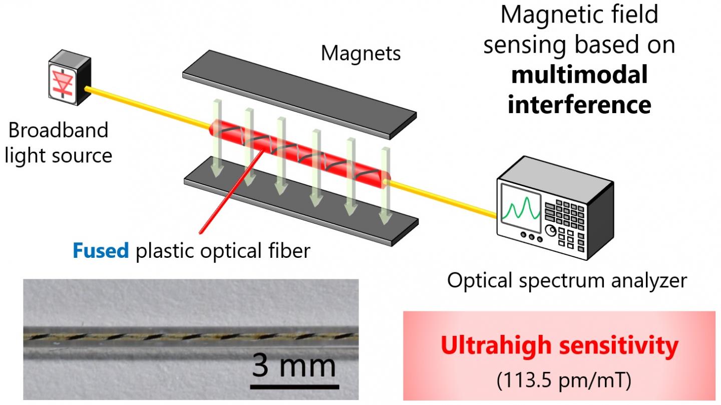 Highly sensitive fiber-optic intrinsic magnetic field sensor