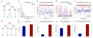 Fig 1. Simulation results based on the time-based binding mechanism.