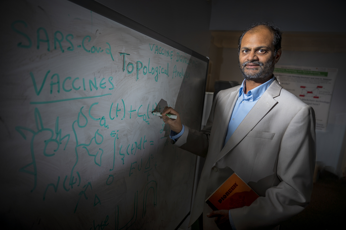 Mathematical constructions of COVID virus activity could provide new insight for vaccines, treatment