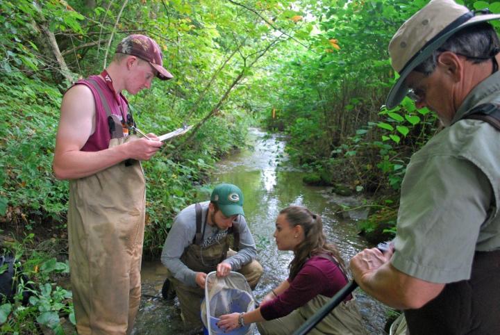 Research on Clinch Dace