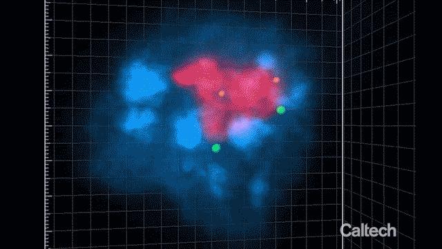 The 3D Nucleus