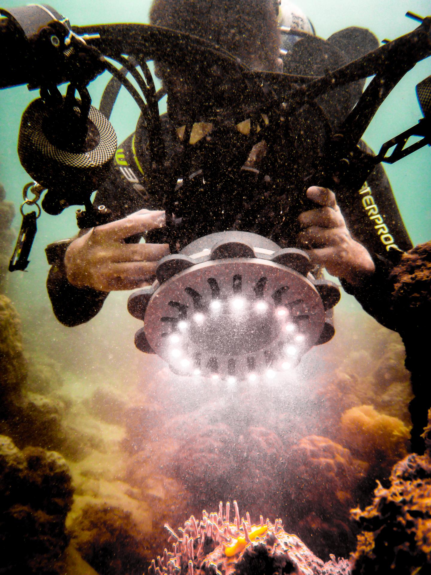 Capturing Environments