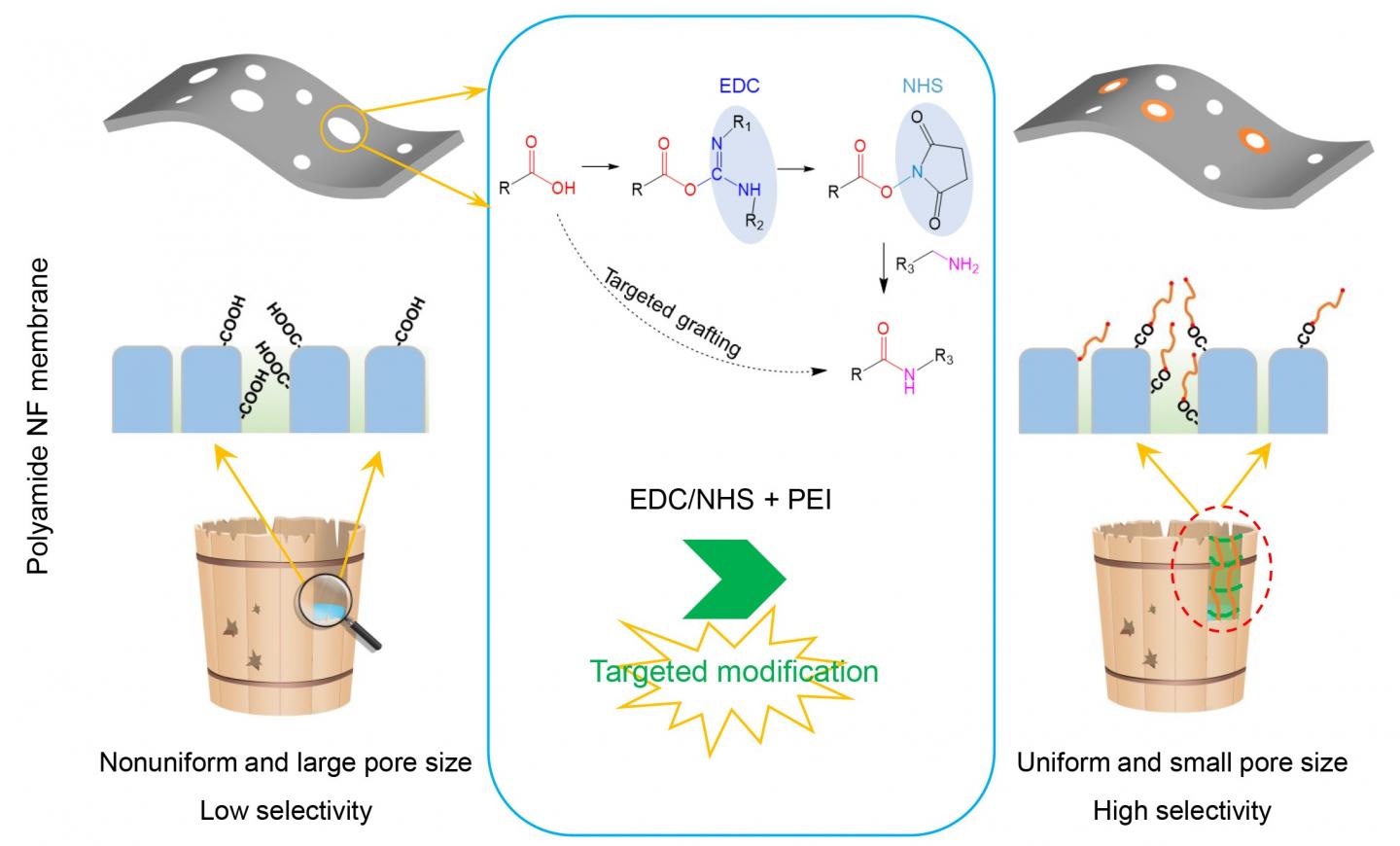 Diagram of targeted modification of polyamide nanofiltration membrane