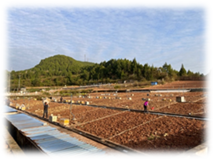 Agricultural organic amendments may hold the key to conserve soil productivity while alleviate non-point source pollution of intensified hillslope cropping