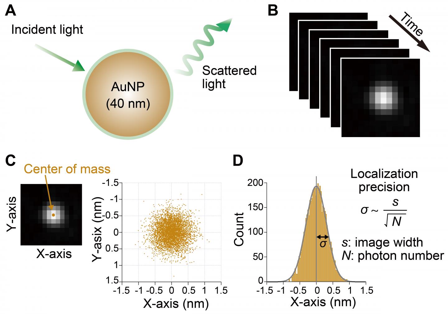 Gold nanoparticle microsecond tracking with a EurekAlert!