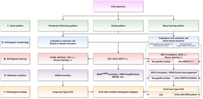 Expert Consensus on Pathological Diagnosis of Intrahepatic Cholangiocarcinoma