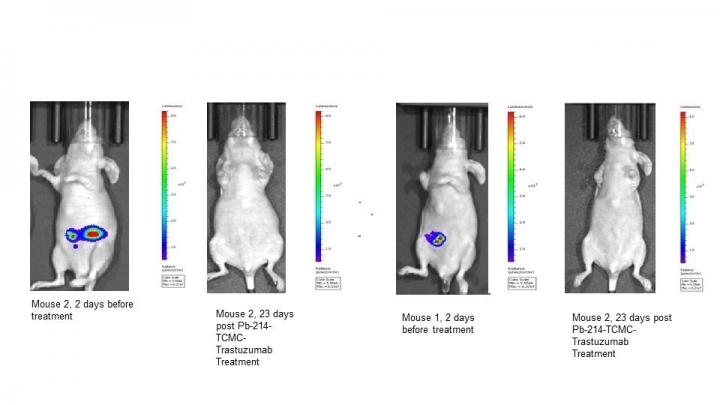 Bioluminescence images before and after ovarian cancer treatment.