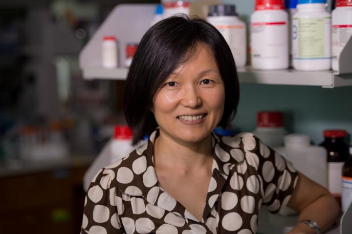 Qilin Li, Rice University 