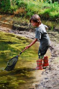Boy fishing with a net 