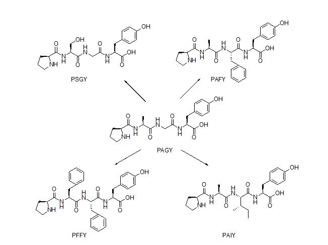Synthesis of Tetrapeptides and Screening of their Antioxidant Properties