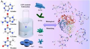 New Copper Metal-Organic Framework Nanozymes Enable Intelligent Food Detection