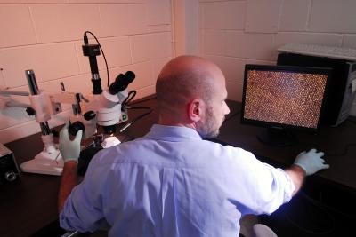 Examining Copper Structures