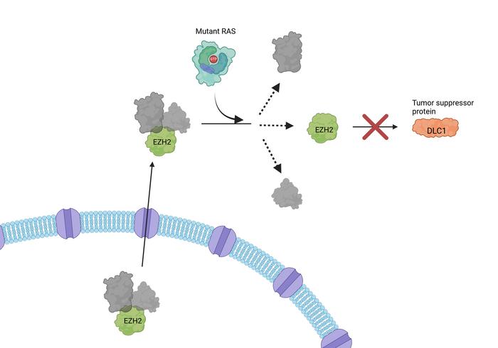 RAS schematic