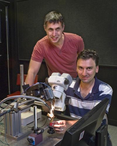  David O'Carroll, Steven Wiederman, University of Adelaide