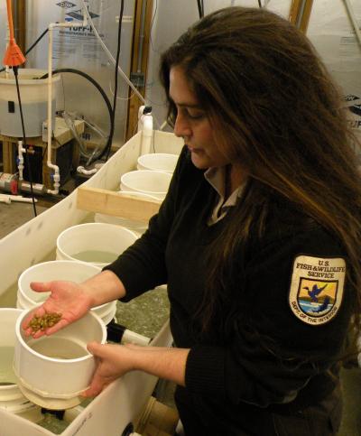 Rachel Mair,   	 Virginia Tech