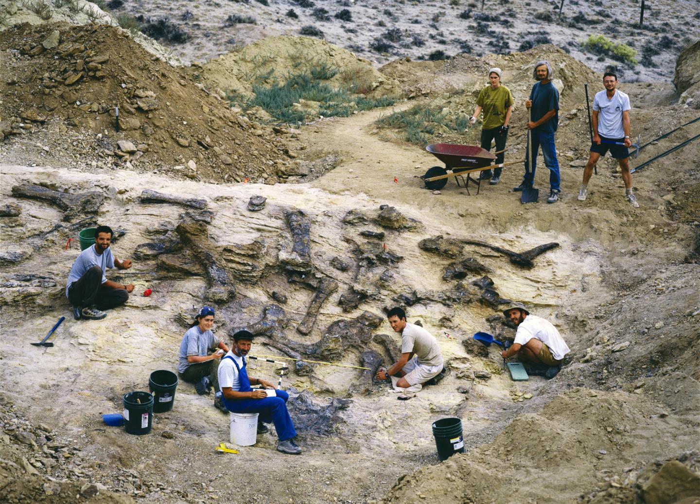 The bones found during excavations