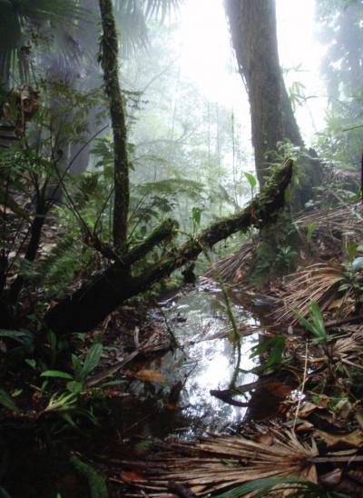 Refugio de Vida Silvestre Texiguat
