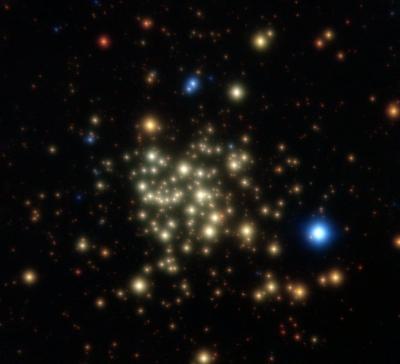 The Arches Cluster
