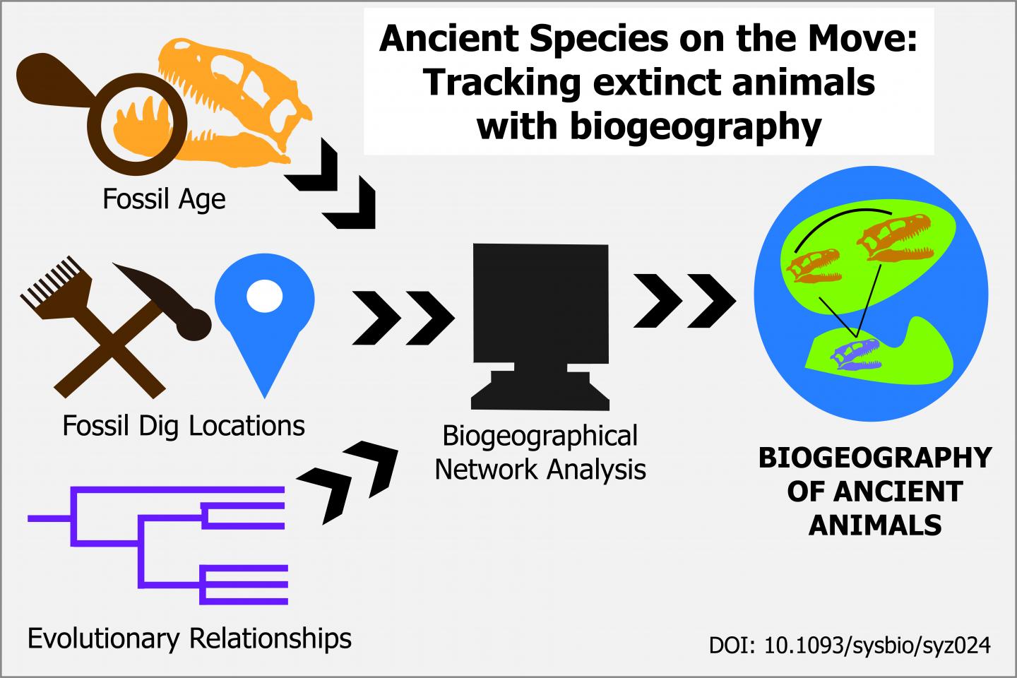 How to Track a Dinosaur