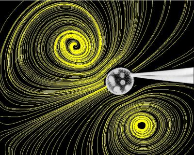 Microorganisms in Motion