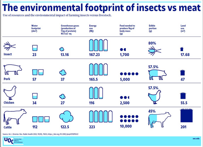 The environtmental footprint of insects vs. meat