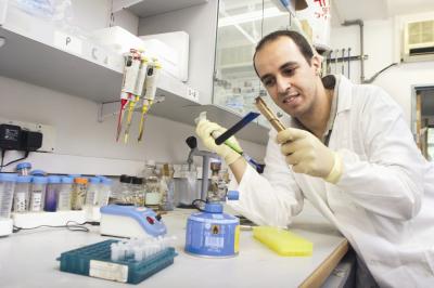 Oren Froy, Hebrew University of Jerusalem