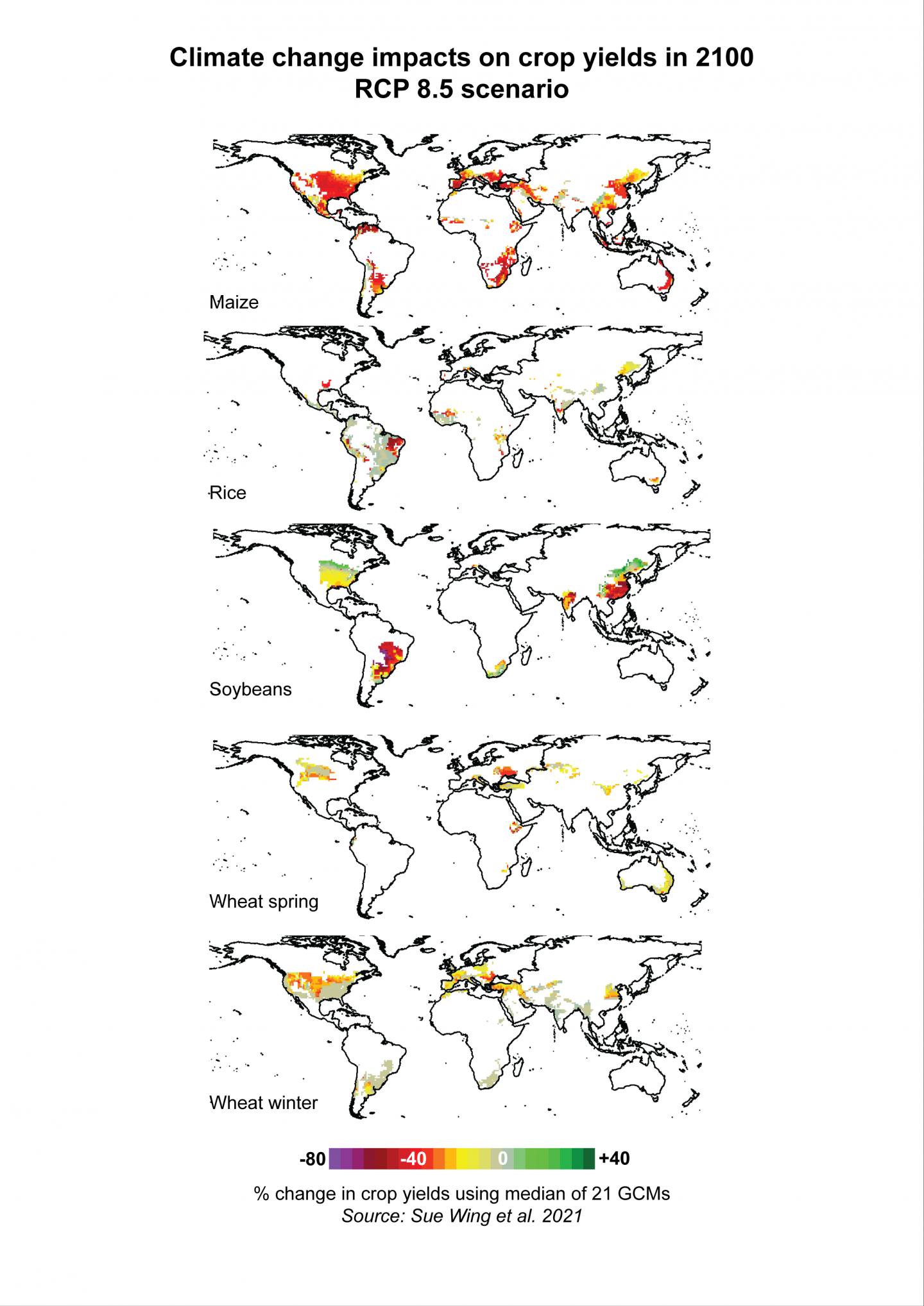 Climate change impacts on crop yields in 2100