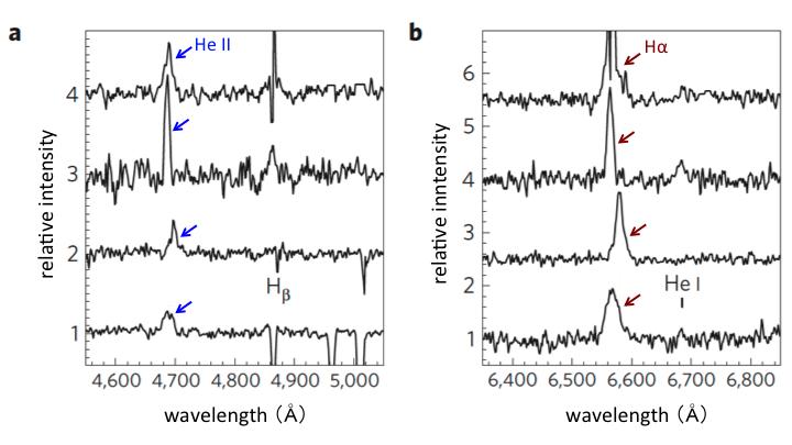 Optical Spectra of the 4 ULXs Observed with the Subaru Telescope (2 of 3)