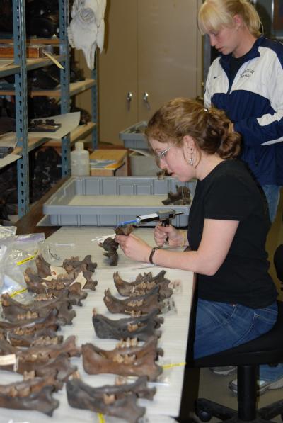 Larisa DeSantis, Vanderbilt University